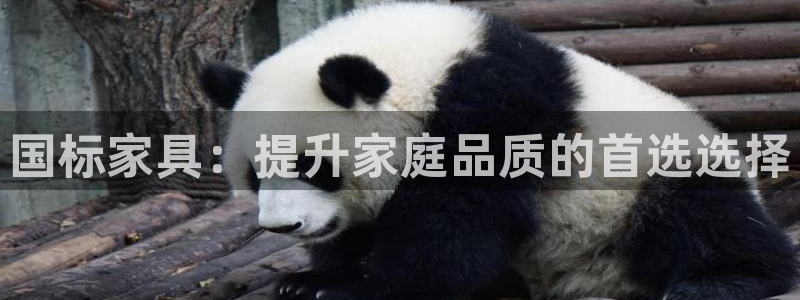 琳琅娱乐怎么样知乎