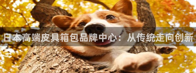 琳琅娱乐工作室怎么样啊