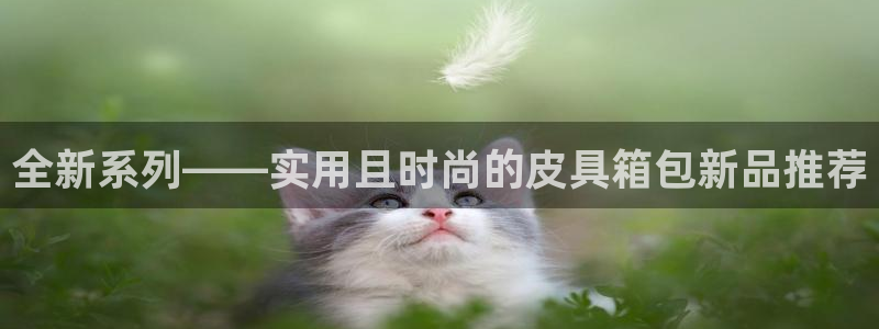 琳琅娱乐在哪直播