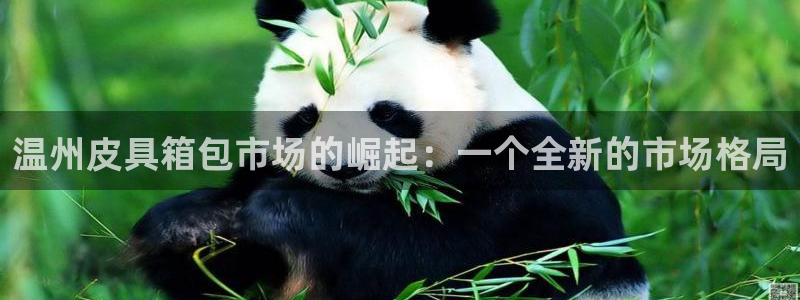 琳琅娱乐工作室怎么样