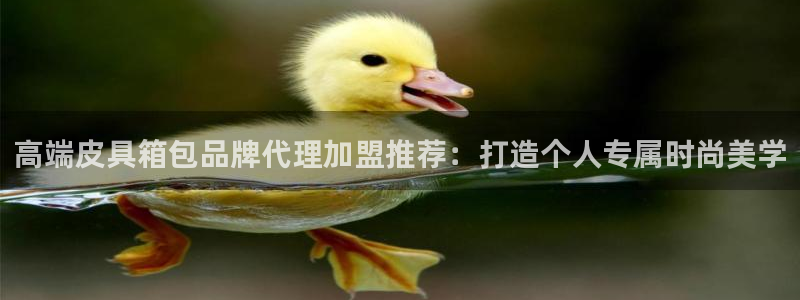 琳琅娱乐工作室招聘