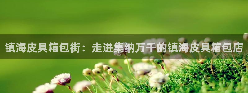 琳琅娱乐机器人