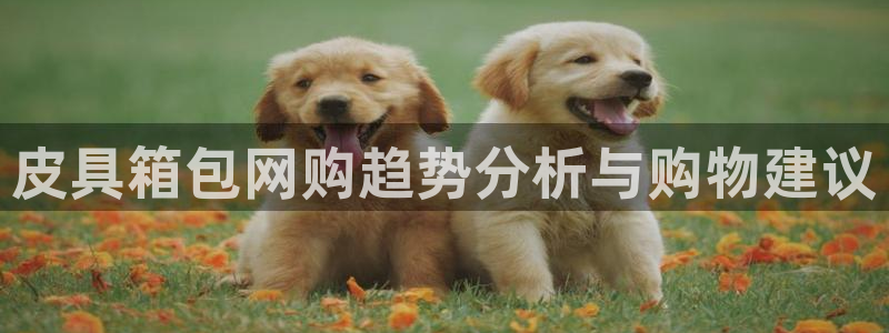 琳琅娱乐工作室