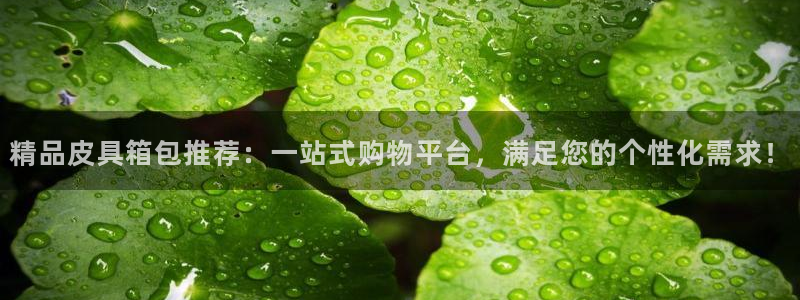 琳琅国际娱乐会所